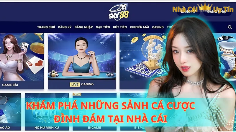 Khám phá những sảnh cá cược đình đám tại nhà cái